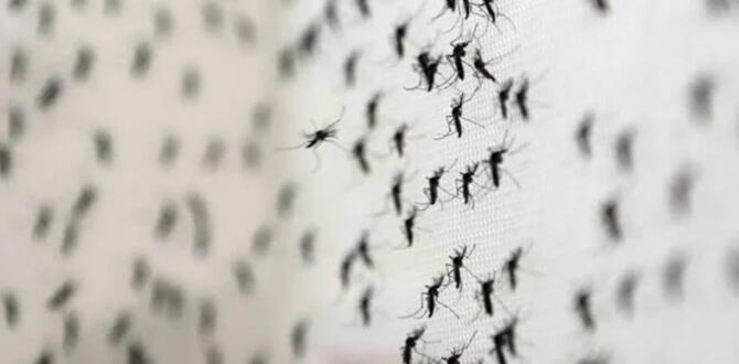 Genetiği değiştirildi! 2 milyon tanesi doğaya salınacak: Hepsi erkek ve mutasyona uğramış