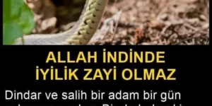 Dindar ve salih bir adam